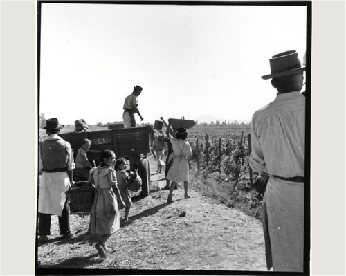 8 slide