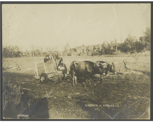 12 slide