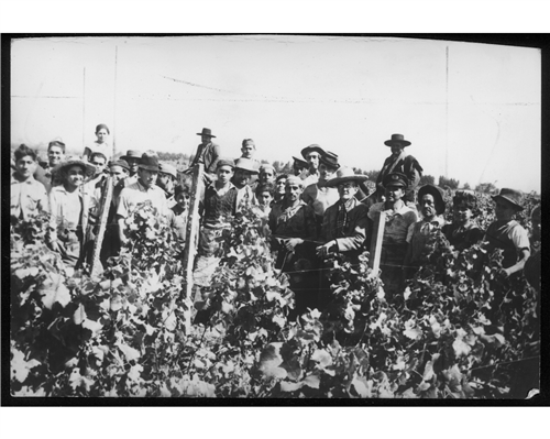 5 slide