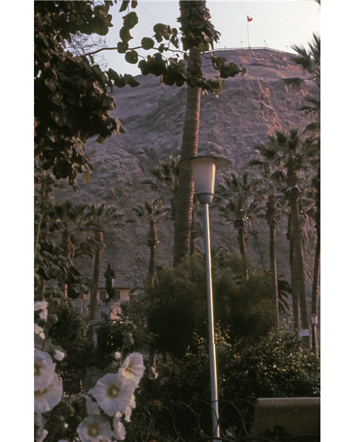 14 slide