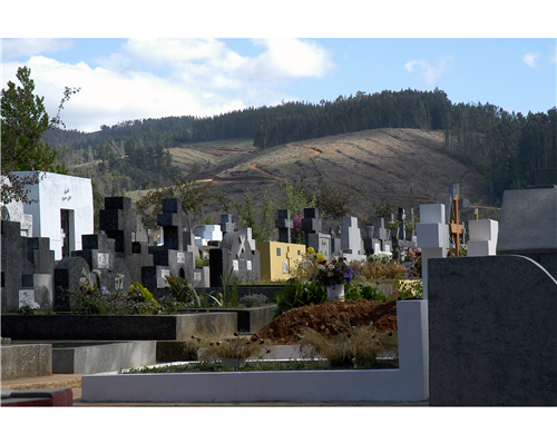 12 slide