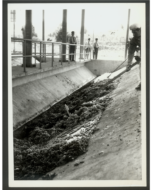8 slide