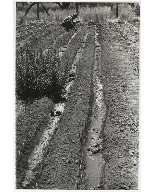 15 slide
